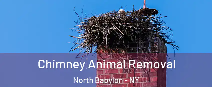  Chimney Animal Removal North Babylon - NY