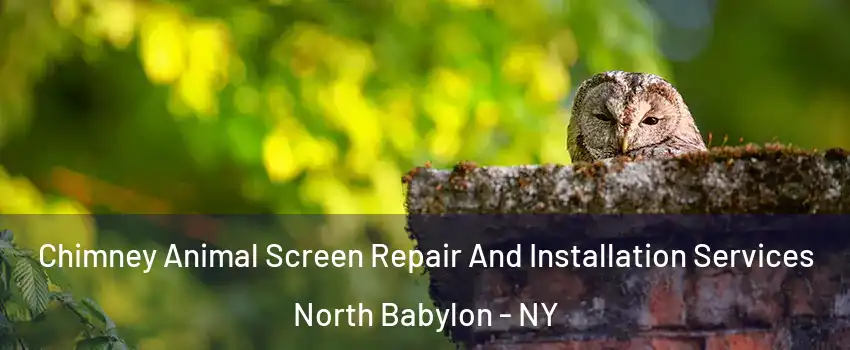  Chimney Animal Screen Repair And Installation Services North Babylon - NY