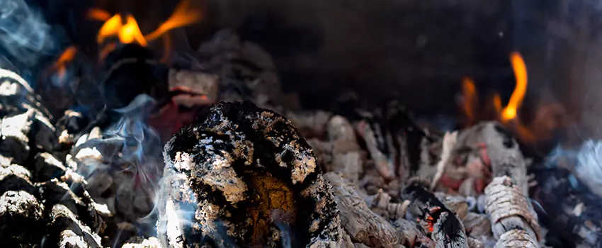 Creosote Removal Experts in North Babylon, NY